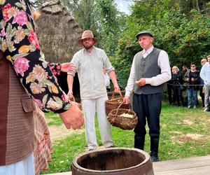 Obieraczki kapuściane w Muzeum Wsi Lubelskiej