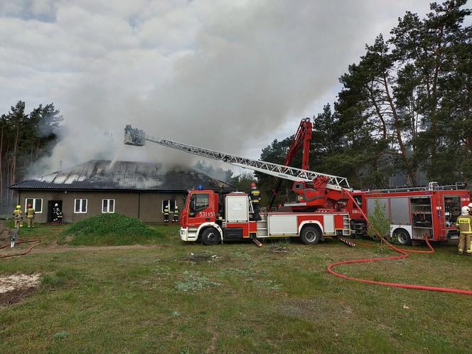 Pożar stolarni pod Nasielskiem