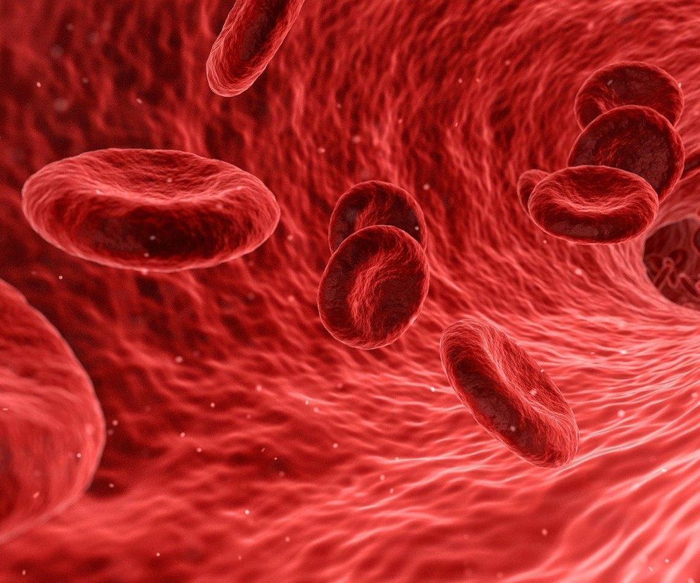 28 maja obchodzimy Światowy Dzień Walki z Nowotworami Krwi 