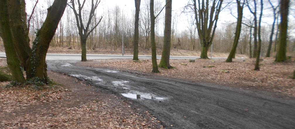 Zaniedbany stary cmentarz przy ul. Ostrowskiej zmienia się w piękny park