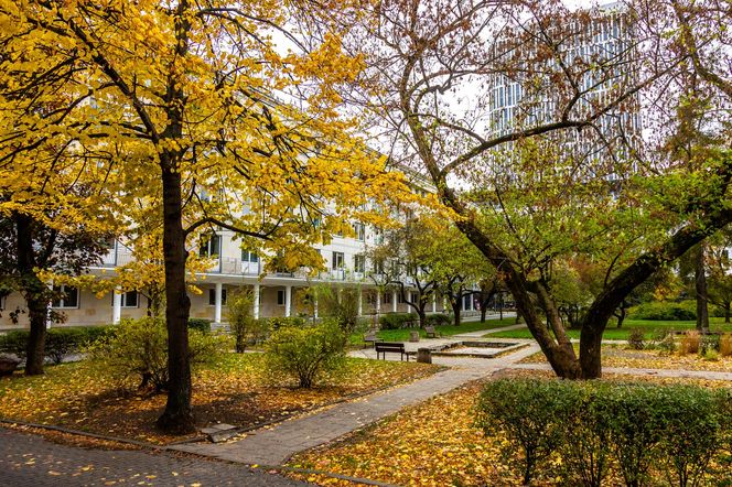 Bloki Bohdana Pniewskiego przy Boya-Żeleńskiego w Warszawie