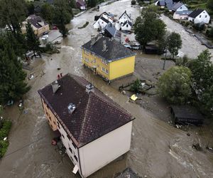 Burmistrz wyjechała na drogie wakacje, w tym czasie jej miasteczko zalała wielka fala. Nie wrócę