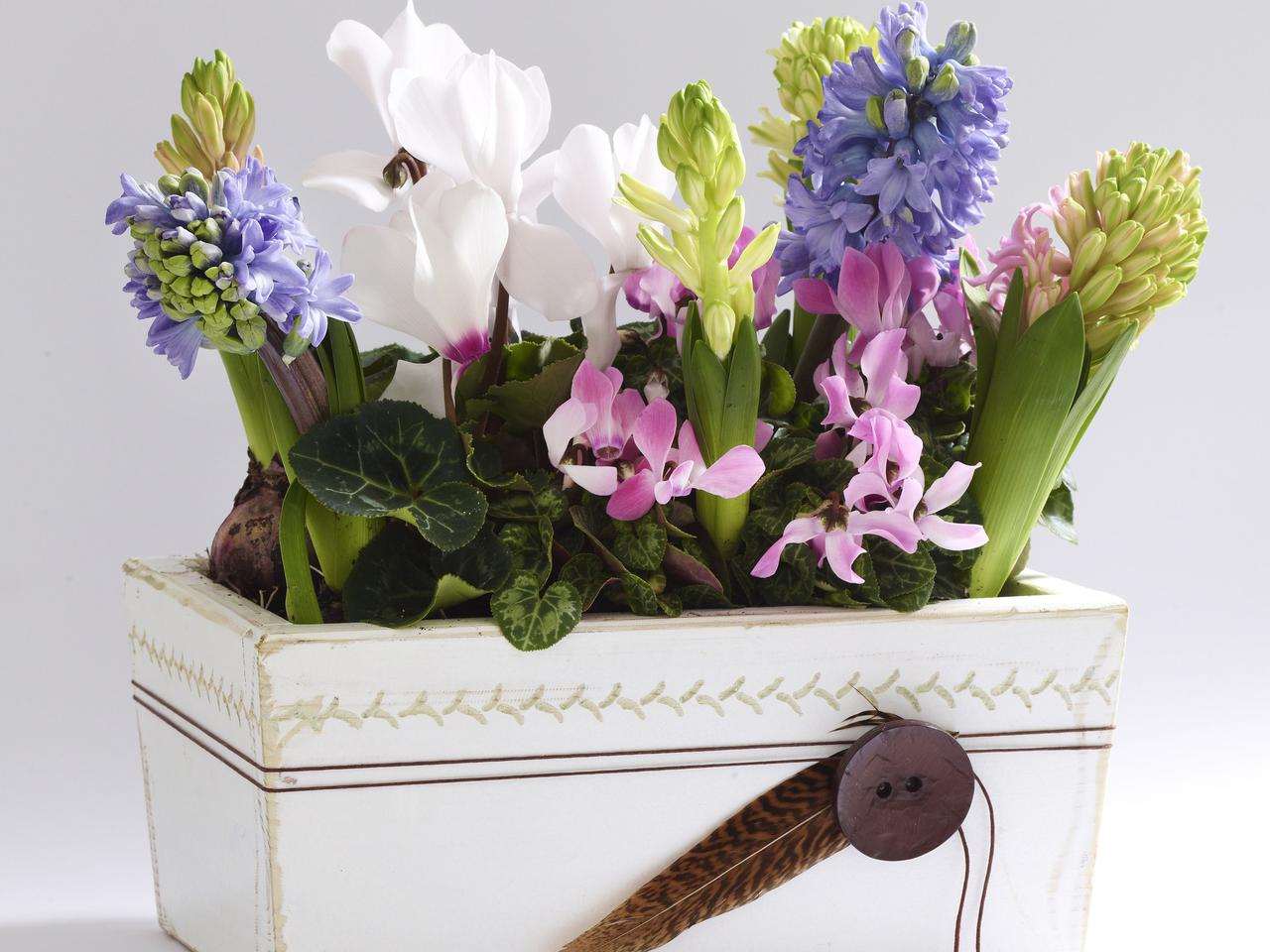 Jak zrobić ozdobną skrzynkę na wiosenne kwiaty? ZRÓB TO SAM