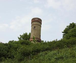 Wieża widokowa Cedynia 