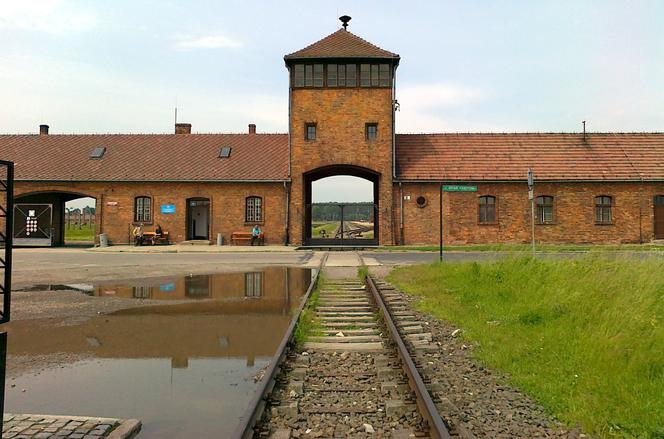 78. rocznica wyzwolenia Auschwitz. Byli więźniowie opowiedzą o swoich przeżyciach 