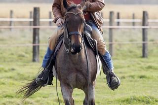 Daniel Olbrychski - codziennie robię 100 brzuszków i boksuje!
