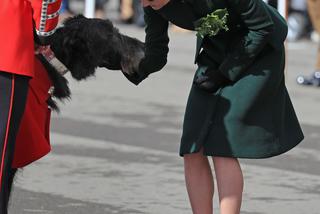 Księżna Kate świętuje dzień świętego Patryka