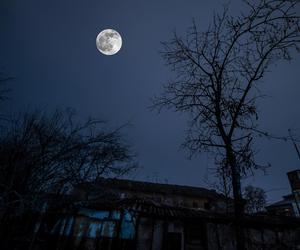 Halloweenowa pełnia. Te znaki zodiaku powinny szczególnie uważać