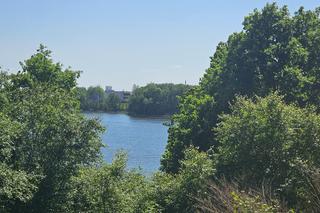 Było, zniknęło i... powróciło. Zobacz magiczne jezioro Track na obrzeżach Olsztyna [ZDJĘCIA]