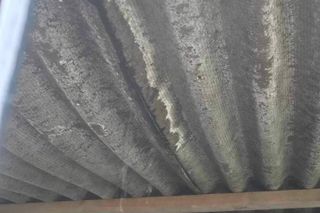 Powódź. Schronisko dla zwierząt w Świdnicy