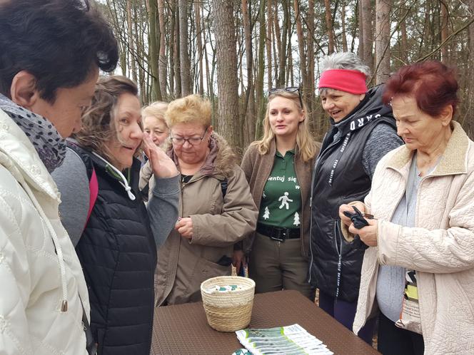 Posadzili kawałek lasu w miejscu wyciętego