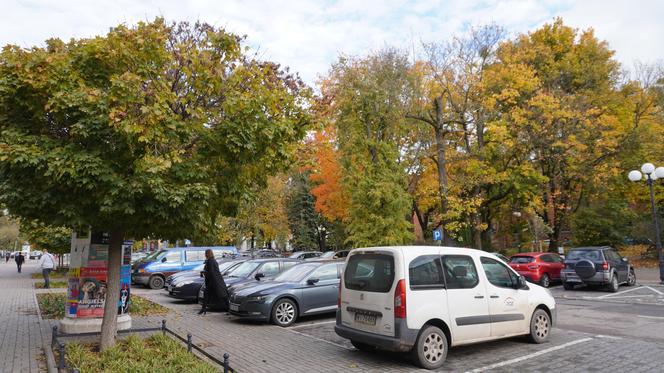 Kolorowe drzewa i klimatyczne kamienice. Ta ulica w Olsztynie zachwyca jesienią [ZDJĘCIA]