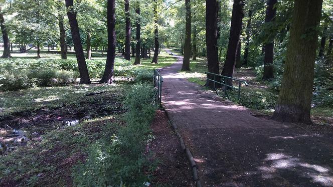Park Tysiąclecia w Toruniu czekają spore zmiany