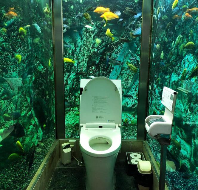 Toaleta w akwarium