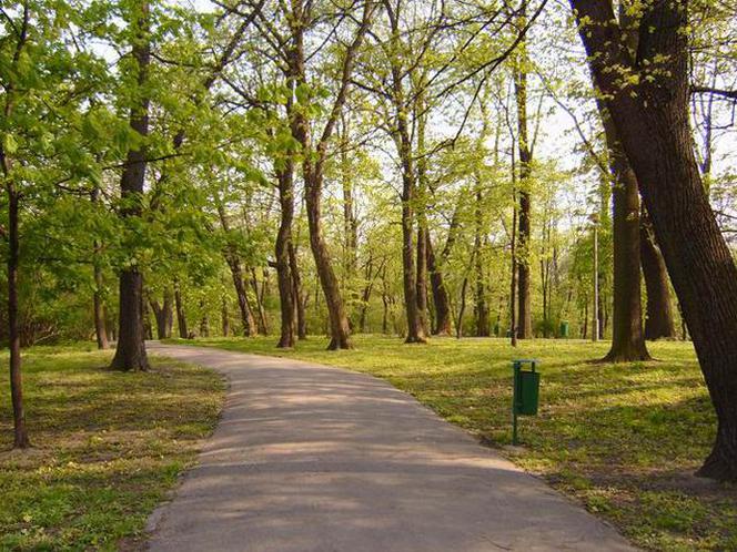 Park Bednarskiego