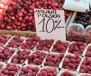 Ceny malin i borówek