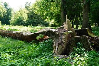 Wakacyjna odsłona Parku Ludowego w Lublinie