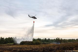 Pożar w Biebrzańskim Parku Narodowym [ZDJĘCIA]