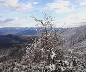 Barania Góra w bajecznej zimowej scenerii