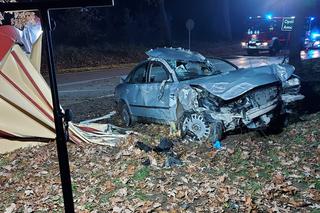 Przerażające zdjęcia z miejsca wypadku w pow. opolskim. Auto całkowicie zniszczyło przystanek