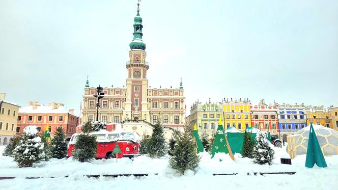 Zamość przystroił się na święta. Na Rynku Wielkim można już podziwiać świąteczne dekoracje