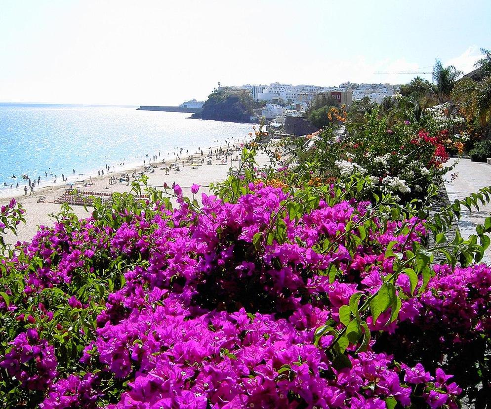 Najcieplejsze plaże w Europie