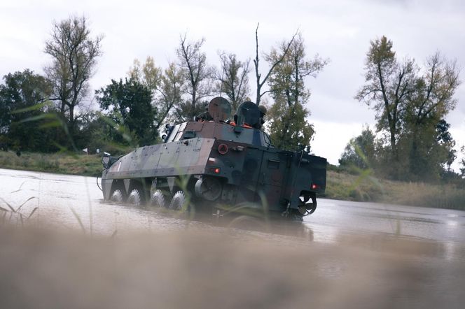 Dzielny Bóbr-25