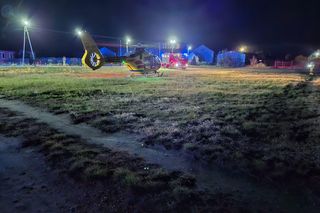 Wypadek w Podebłociu. Auto zderzyło się z łosiem