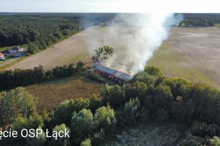 Pożar w Stadzie Ogierów w Łącku pod Płockiem