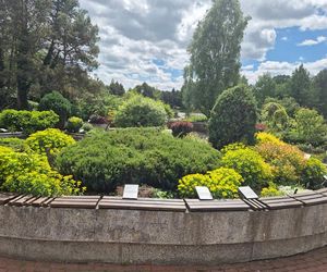 Arboretum w Bolestraszycach 