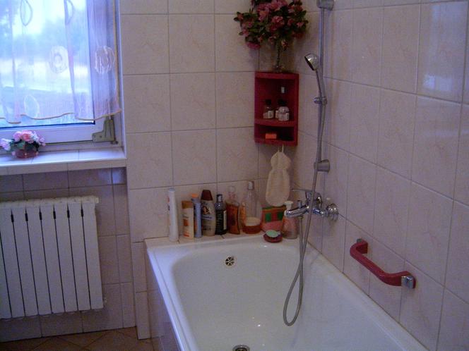 Zdjęcie 7533