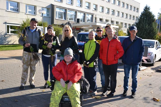 Spore zainteresowanie akcją rozdawania drzew miododajnych w Iławie