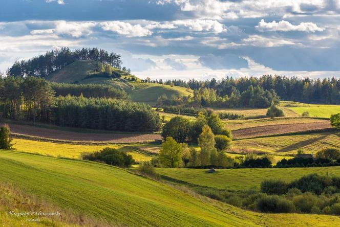 Góra Cisowa. "Suwalska Fudżijama" na terenie Suwalskiego Parku Krajobrazowego