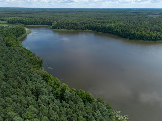 Tragiczna śmierć 15-letniego harcerza pod Wolsztynem