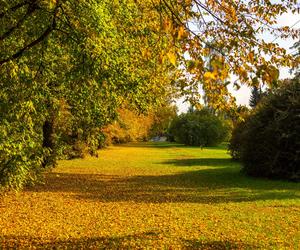 Park Śląski jesienią jest naprawdę piękny