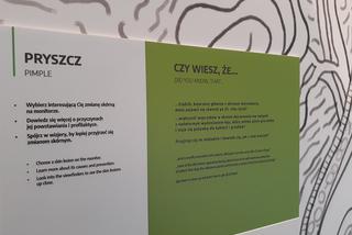 Wystawy w Centrum Innowacyjnej Edukacji w Toruniu