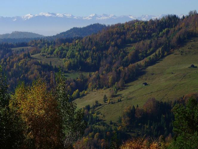 Liczne szlaki turystyczne i stoki narciarskie. Oto małopolskie pasmo górskie idealne na rodzinną wycieczkę 