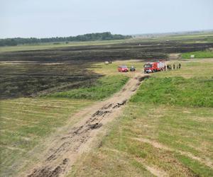 Pożar Biebrzańskiego Parku Narodowego. Spłonęło 13 ha łąk [12/13.06.2023]