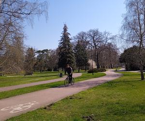 Mieszkańcy korzystają ze słonecznej pogody. Na plaży w Jelitkowie widać już pierwszych spacerowiczów!