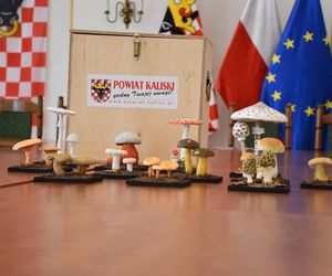 Powiat kaliski kupił modele grzybów