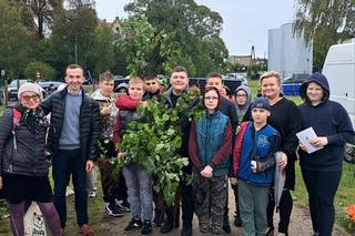  Akcji Sadzenia Drzew Miododajnych w powiecie iławskim zakończona sukcesem