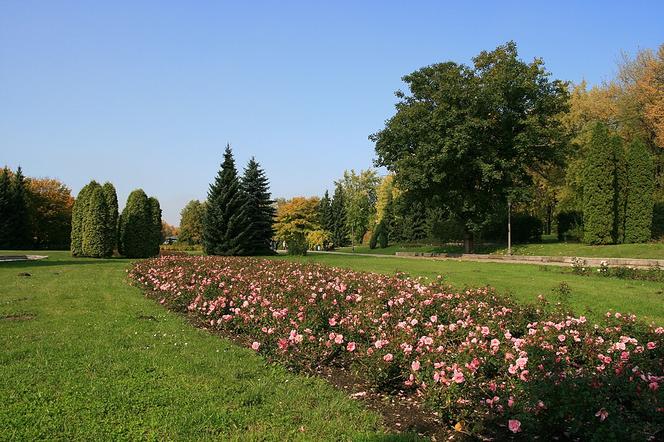 Park Śląski w Chorzowie