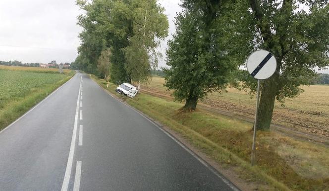 Ludów Polski - samochód wjechał do rowu