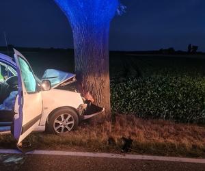 Ponad 200 wypadków ze skutkiem śmiertelnym na polskich drogach. Wakacyjny bilans