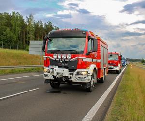 Dwóch mężczyzn nie żyje, kilku zostało rannych! Potworny wypadek busa na S7. Auto zostało zmasakrowane