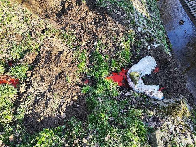 Wątok w Tarnowie stał się czerwony jak cegła. Sprawą zajmie się prokuratura