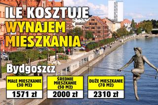 Ile kosztuje wynajem mieszkania?