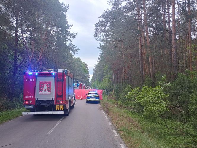 Zderzenie auta z łosiem zakończyło się tragedią