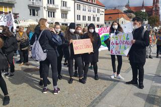 Białystok: Młodzieżowy Strajk Klimatyczny: Najpierw natura, potem matura
