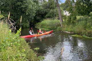 Europosłanka odpłynęła z mężem